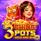 3 China Pots